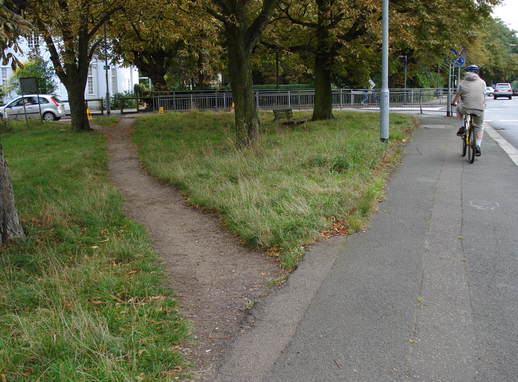 A desire path in action.
